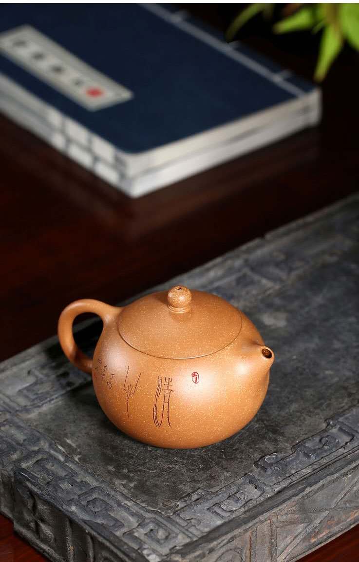 李晓璐作品 莲花西施图片