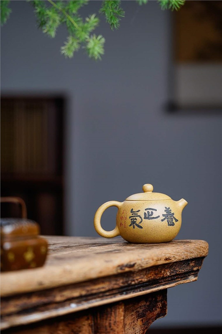 胡丽琴作品 松趣西施图片