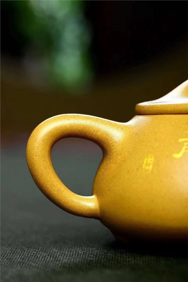 朱正琴作品 景舟石瓢图片
