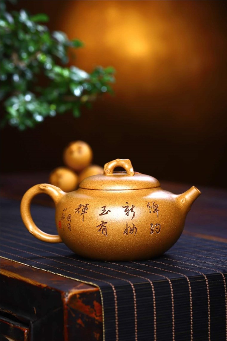 谈卫萍作品 玉兰春图片