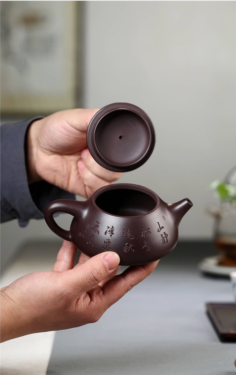周洪明作品 景舟石瓢图片