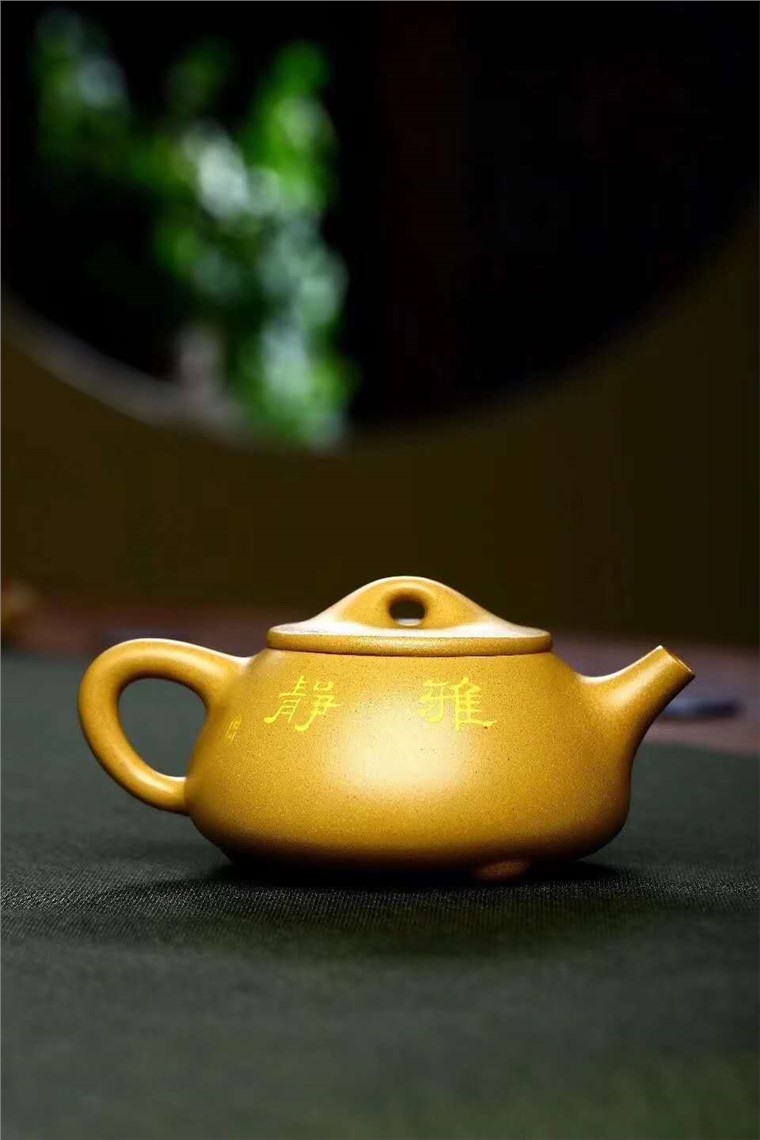 朱正琴作品 景舟石瓢图片
