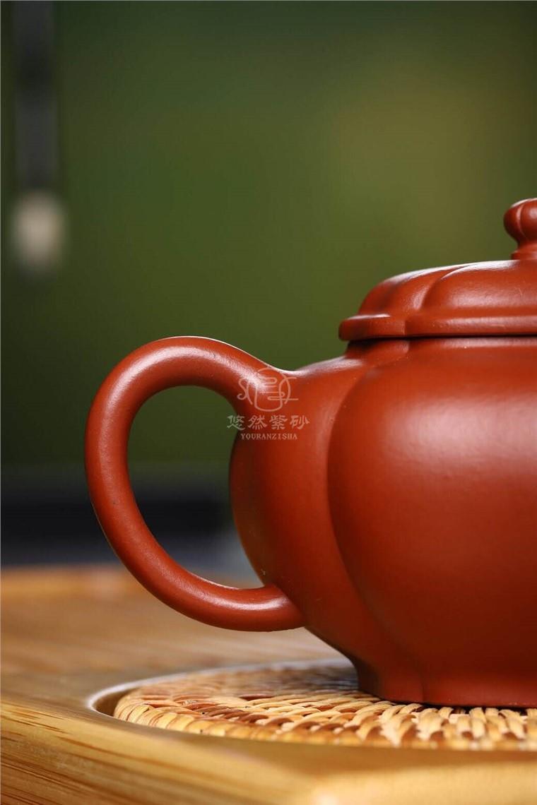 范晓丽作品 菱花图片