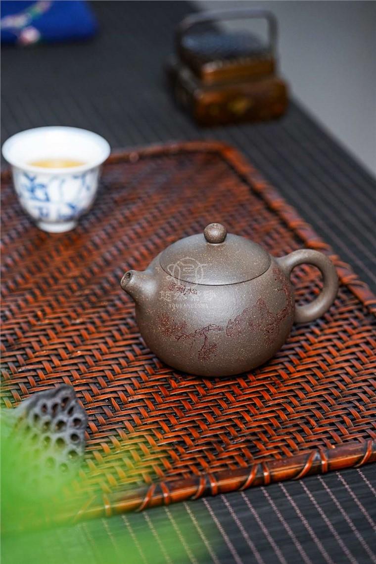 蒋荣生作品 松鼠西施图片