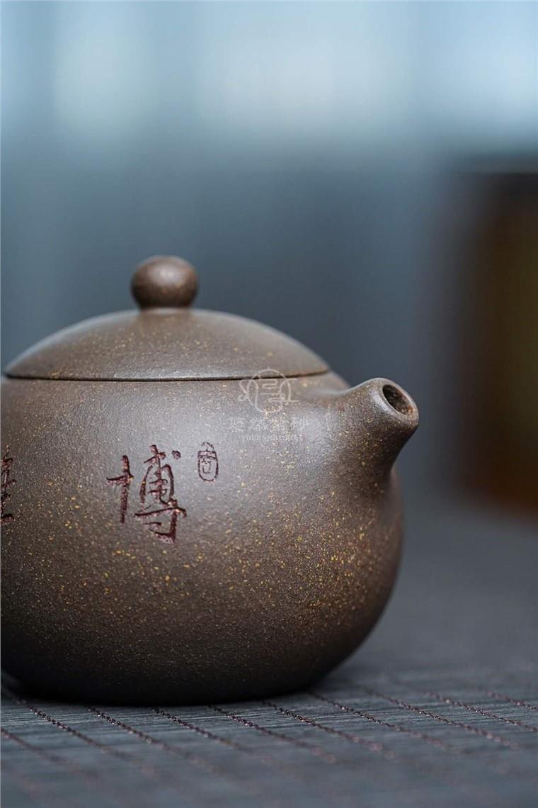 蒋荣生作品 松鼠西施图片