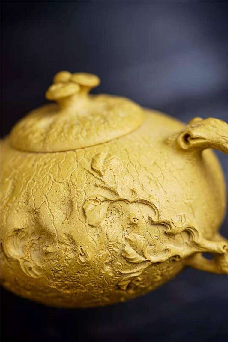 李洪明作品 灵芝供春图片