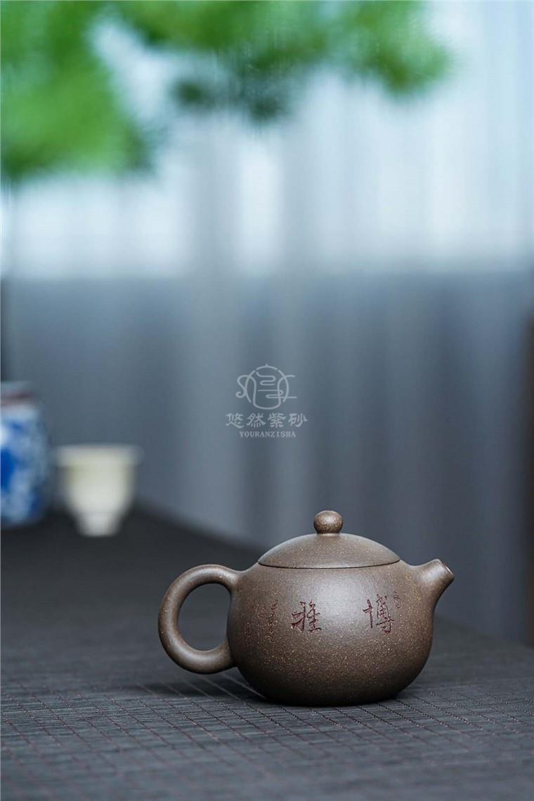 蒋荣生作品 松鼠西施图片