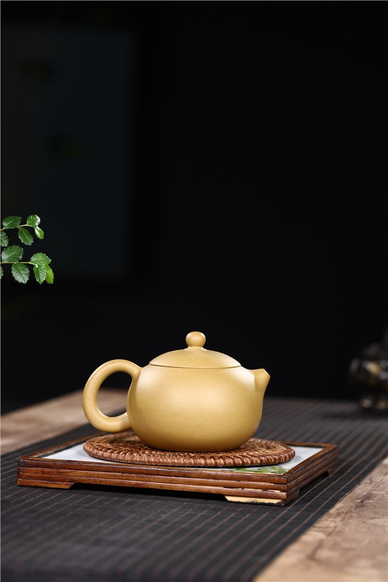 范君浩作品 西施图片