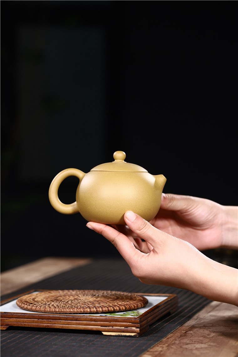 范君浩作品 西施图片