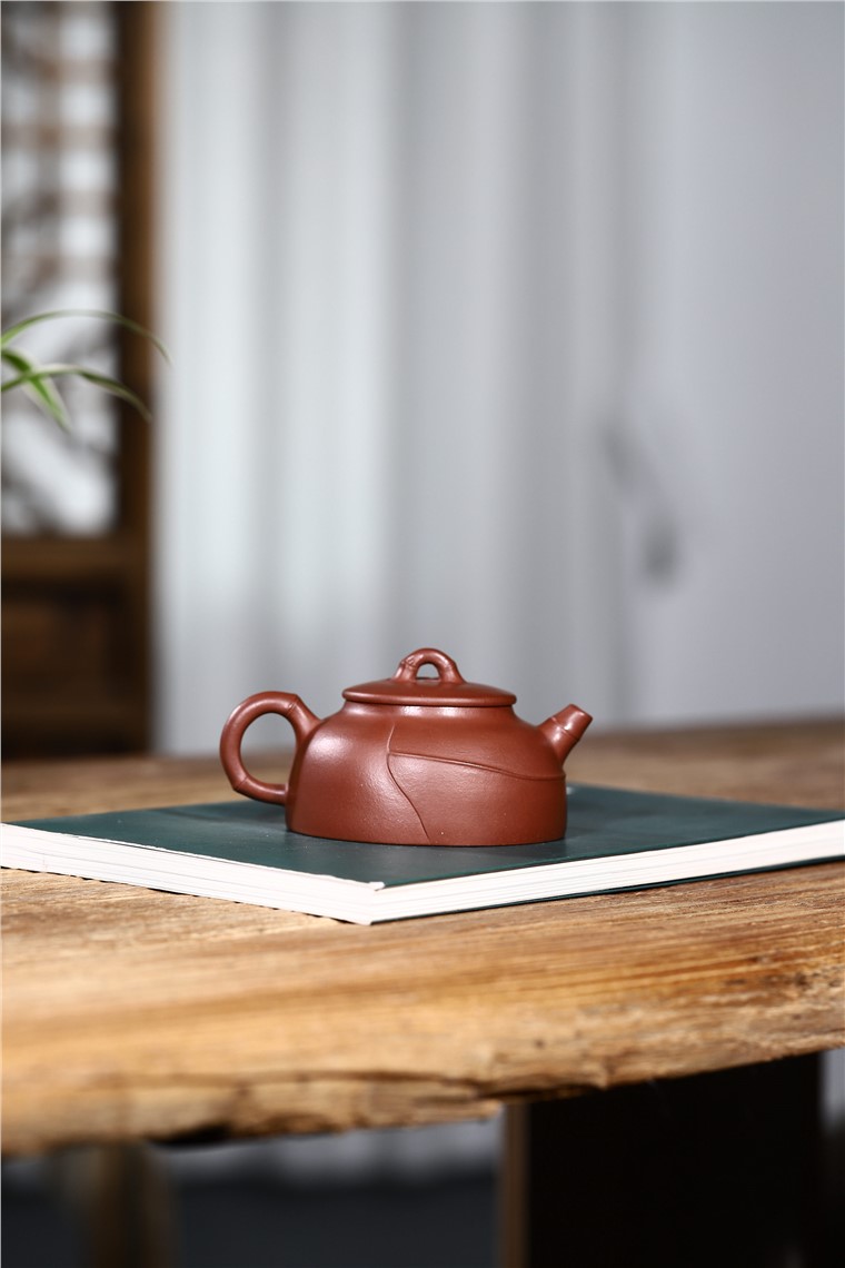 杨卫刚作品 文竹图片