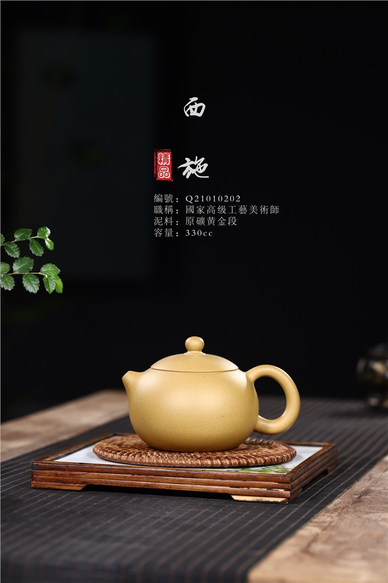 范君浩作品 西施图片