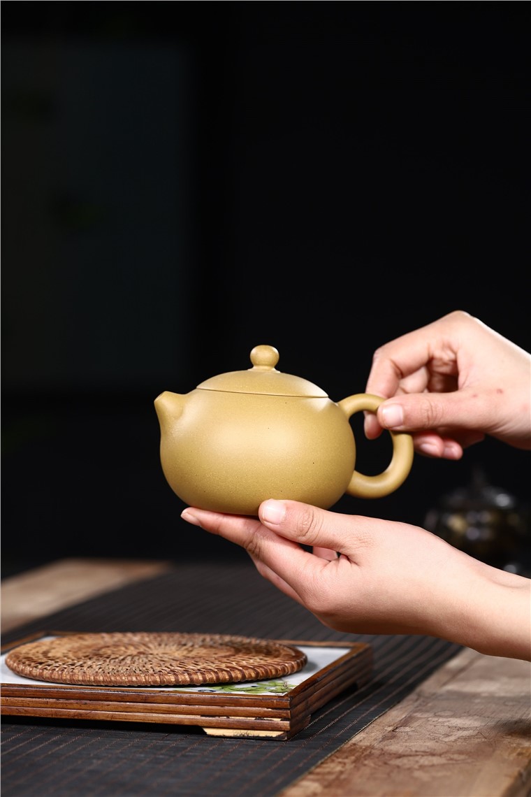 范君浩作品 西施图片