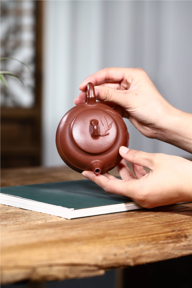 杨卫刚作品 文竹图片