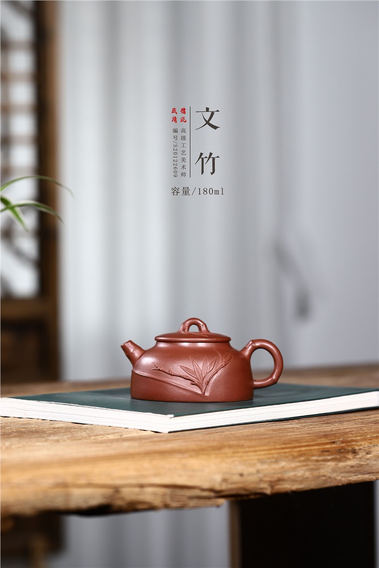 杨卫刚作品 文竹图片