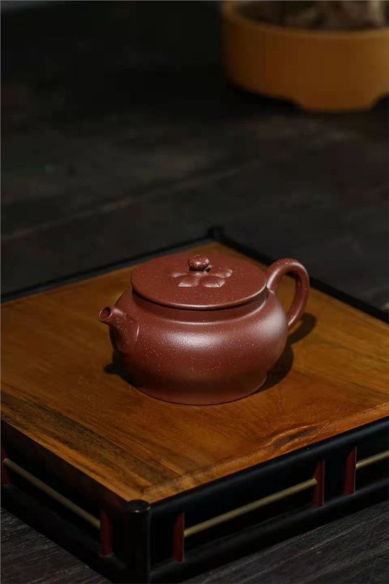 陈惠红作品 葵花图片
