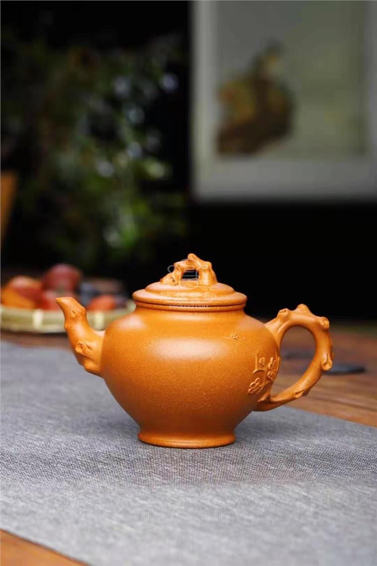 蒋晓光作品 报春图片