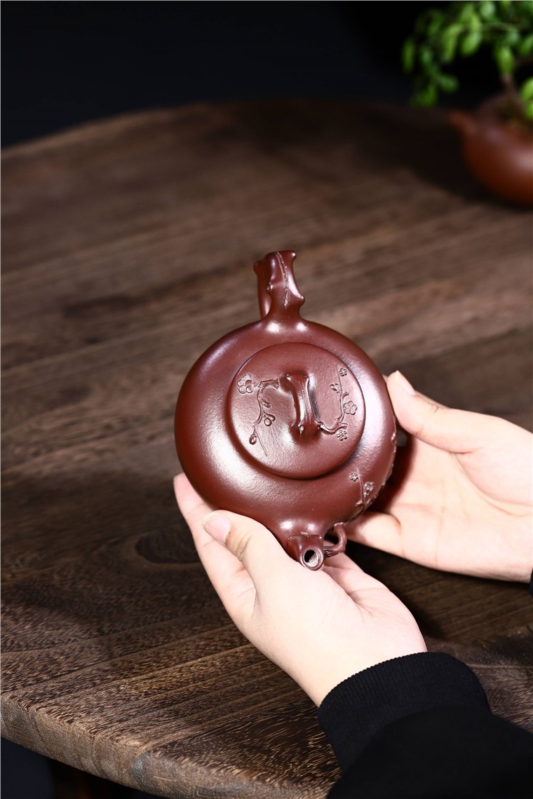 顾旭英作品 傲梅图片