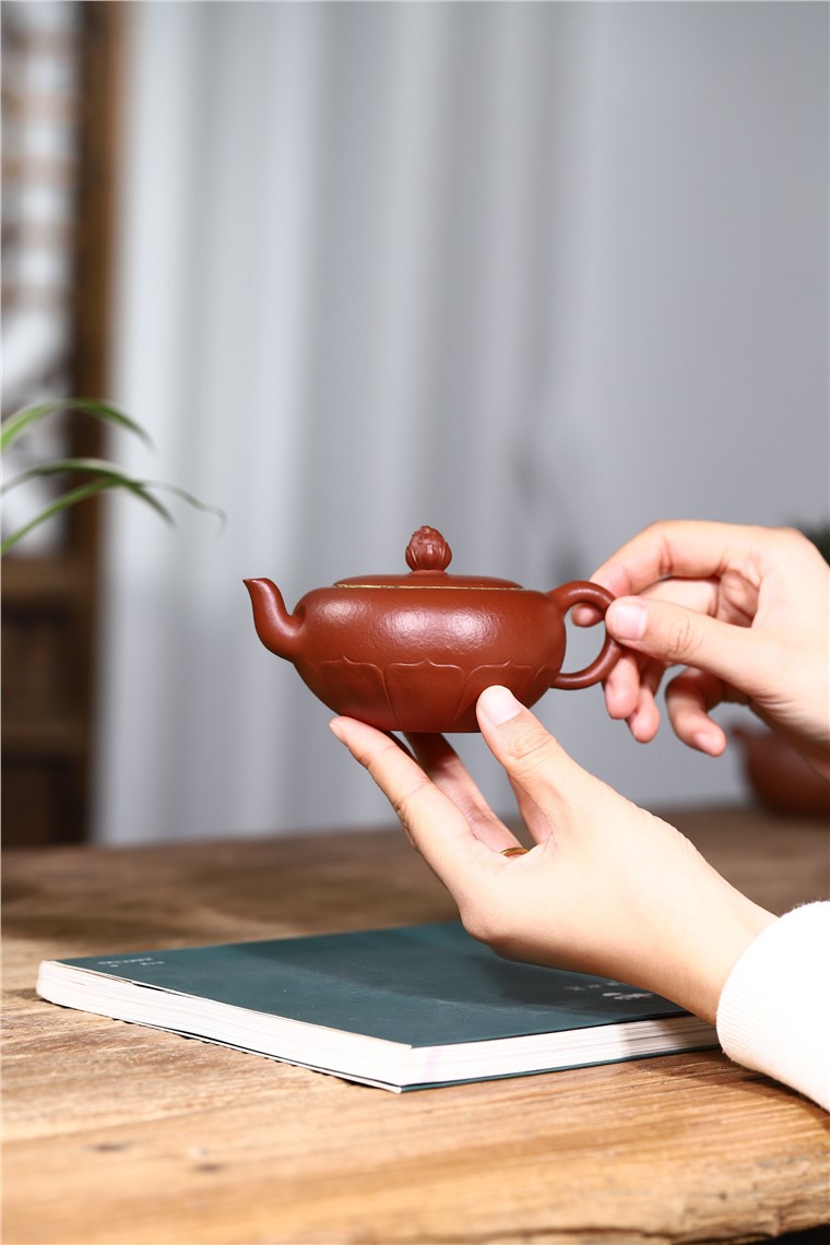 范君浩作品 禅莲图片