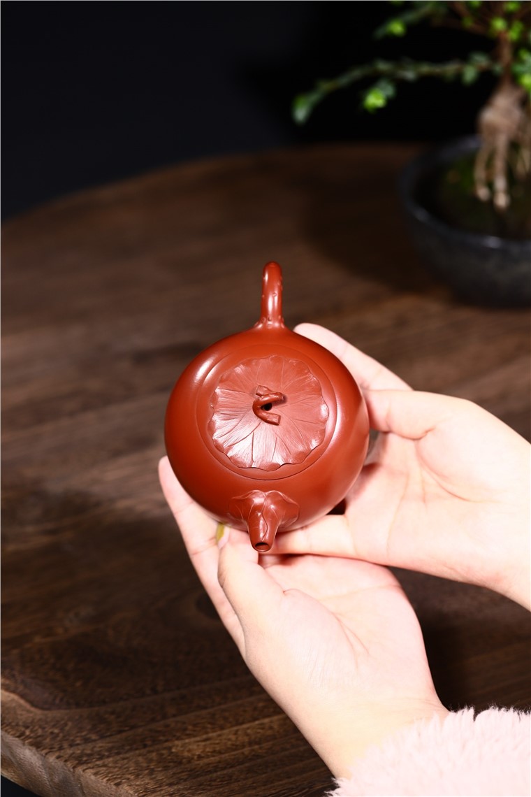 韩洪波作品 莲叶图片