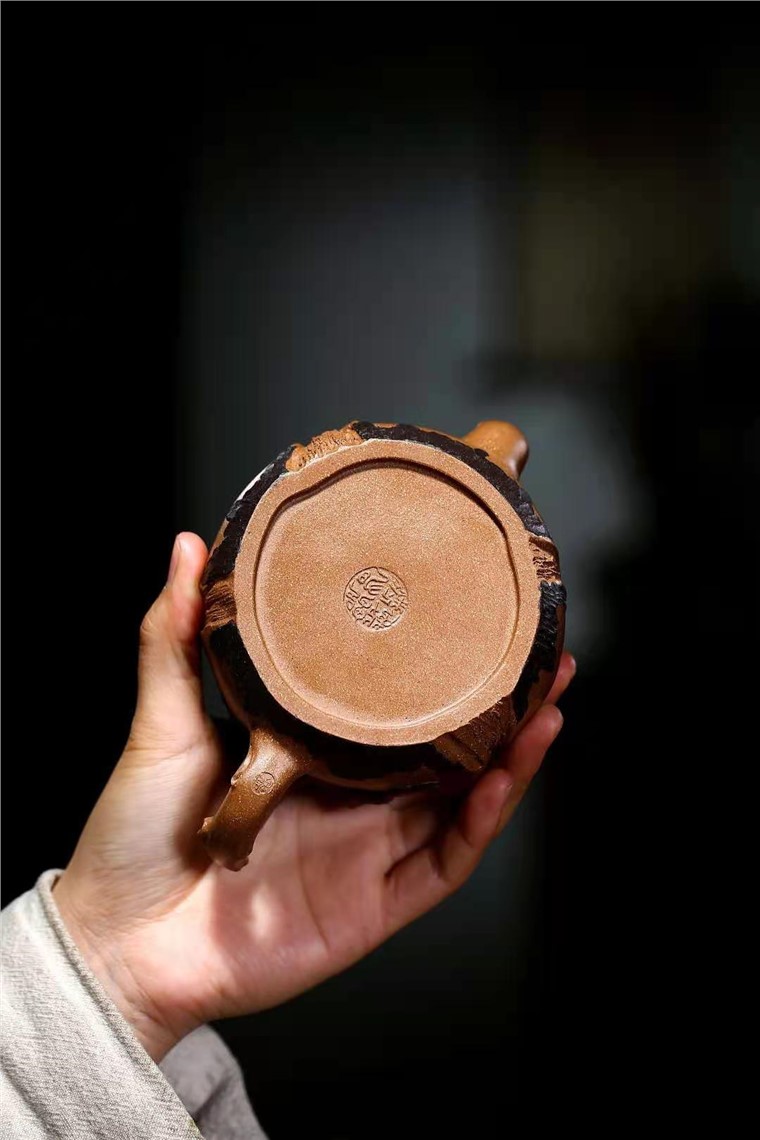 邹旭敏作品 金蟾树桩图片