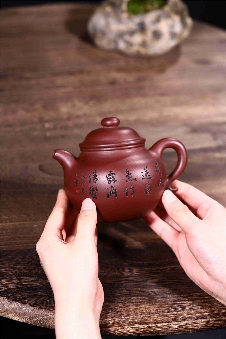 韩洪波作品 莲子图片
