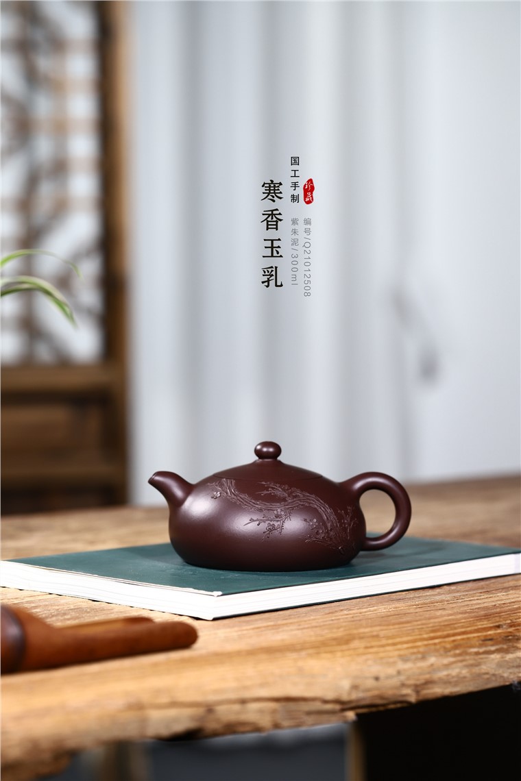 韩洪波作品 寒香玉乳图片