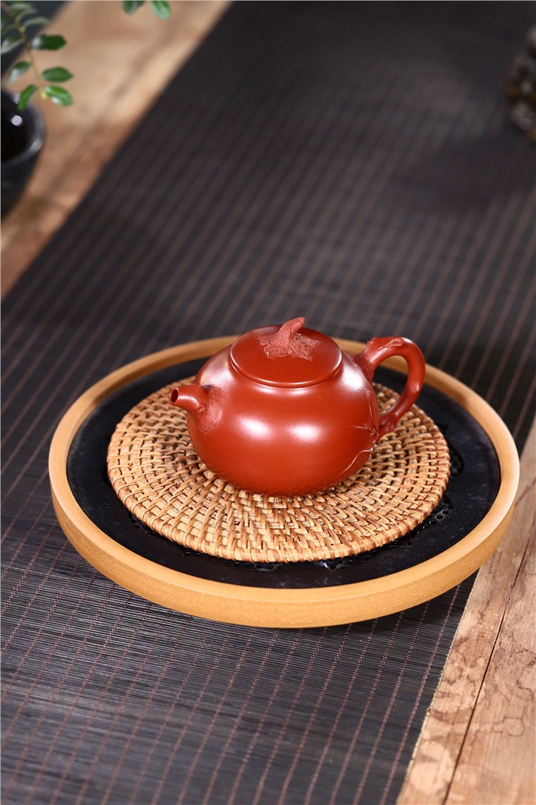韩洪波作品 新芽图片