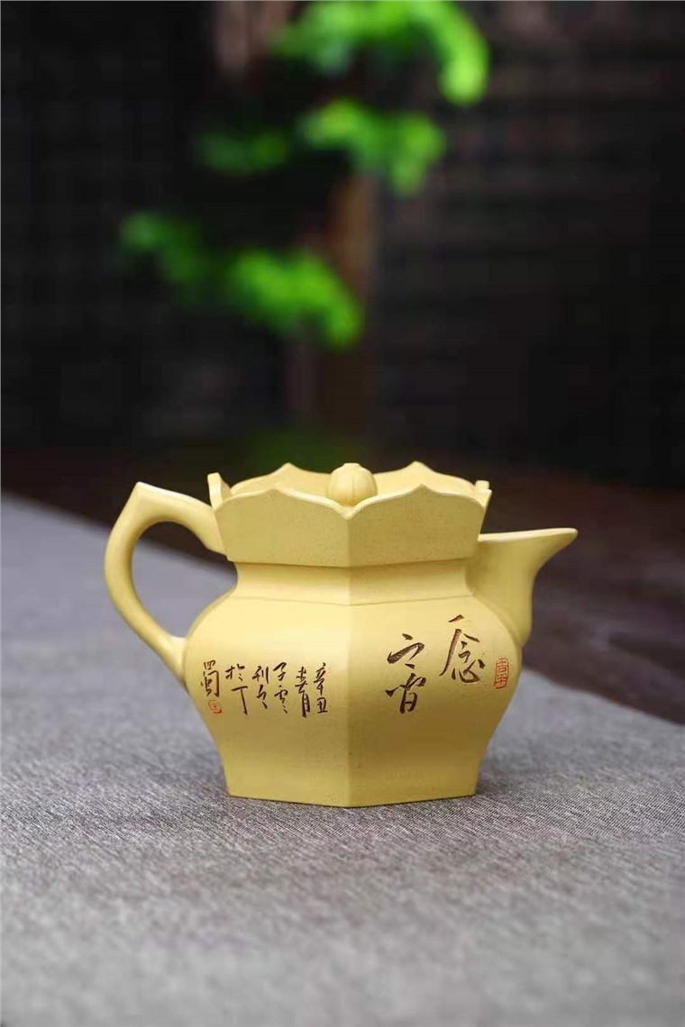 王玉芳作品 僧帽壶图片