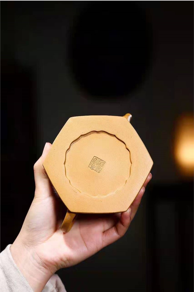 高俊作品 六方菊花菊瓣图片