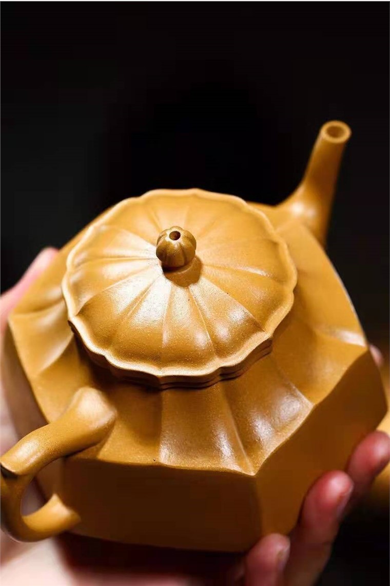 高俊作品 六方菊花菊瓣图片