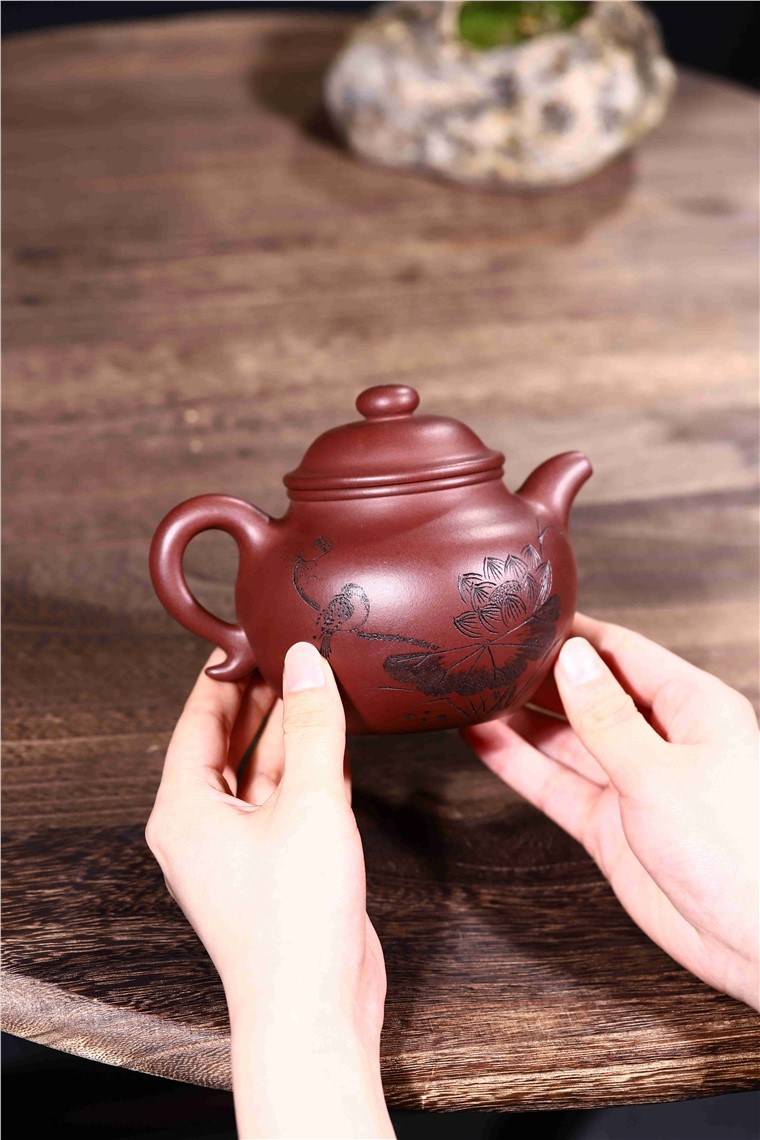 韩洪波作品 莲子图片