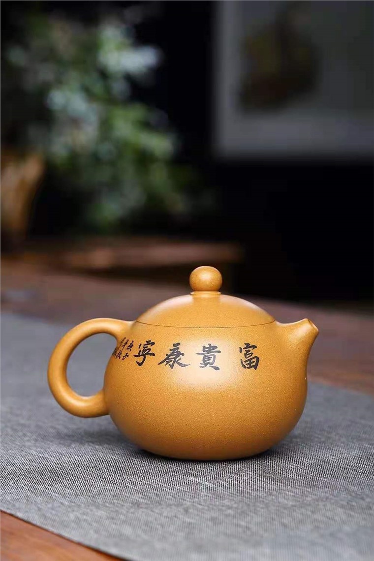 王其明作品 富贵康宁图片