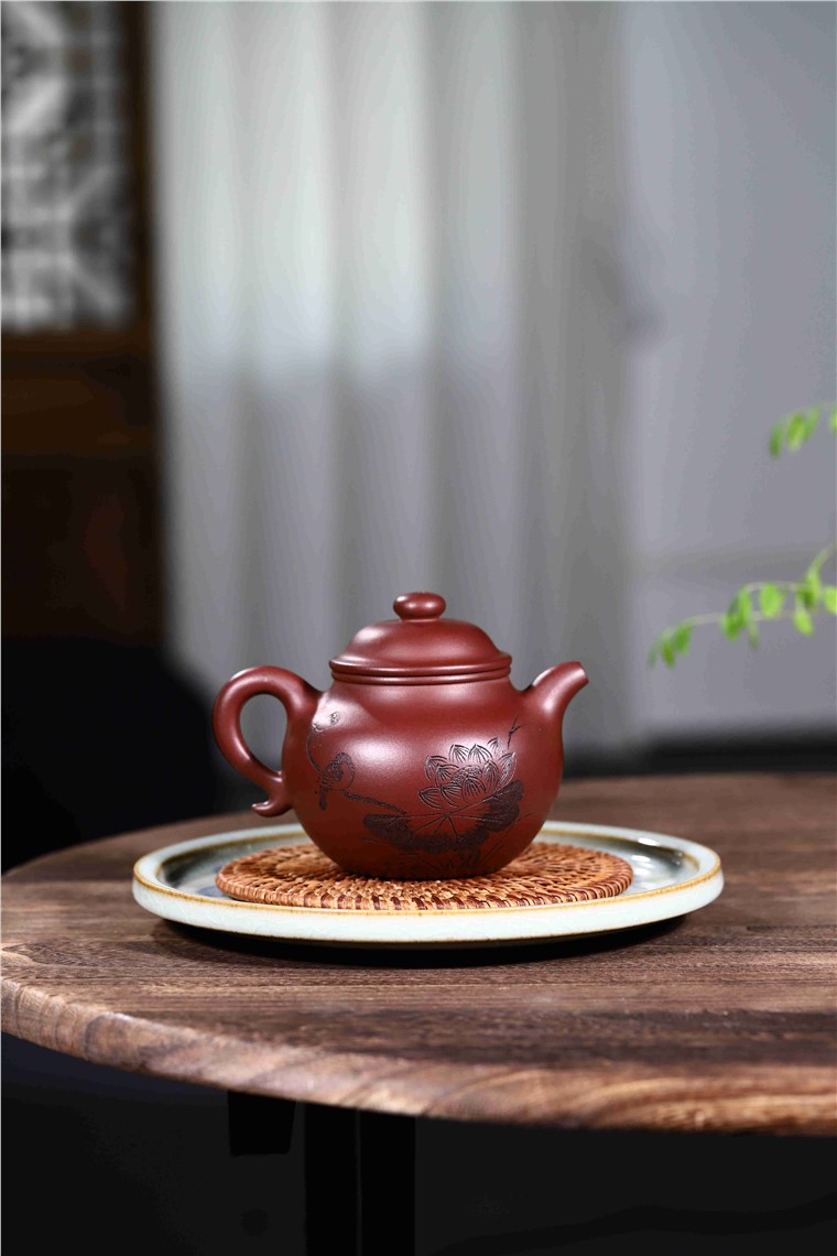 韩洪波作品 莲子图片