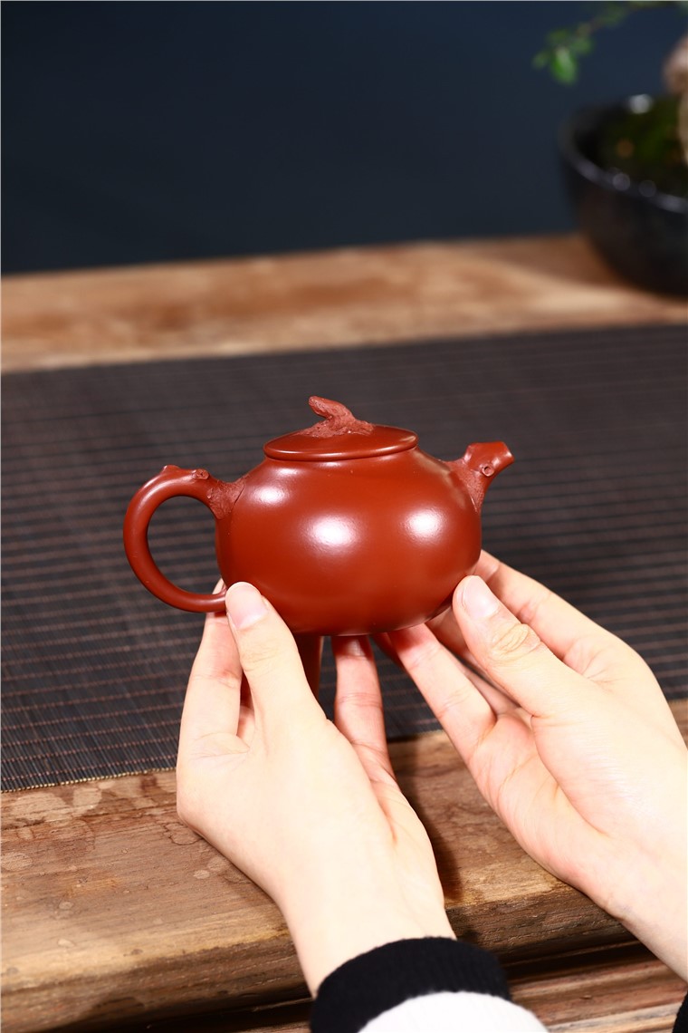 韩洪波作品 新芽图片