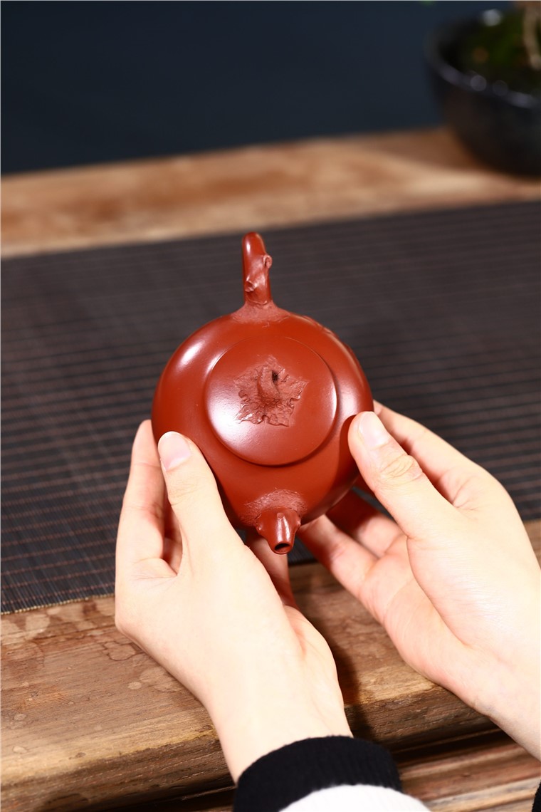 韩洪波作品 新芽图片