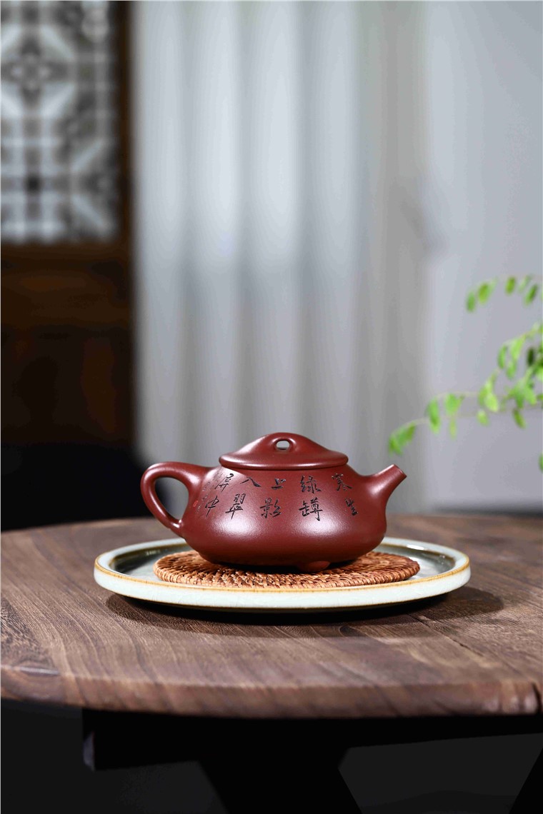 韩洪波作品 景舟石瓢图片