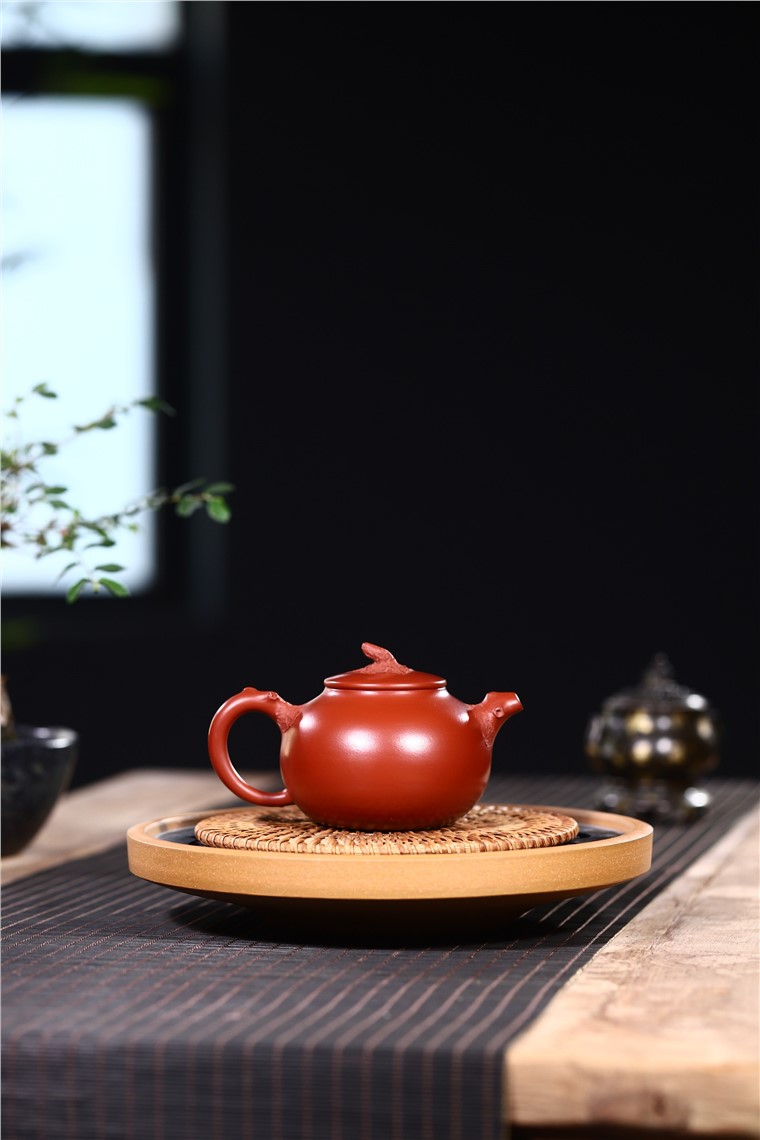 韩洪波作品 新芽图片
