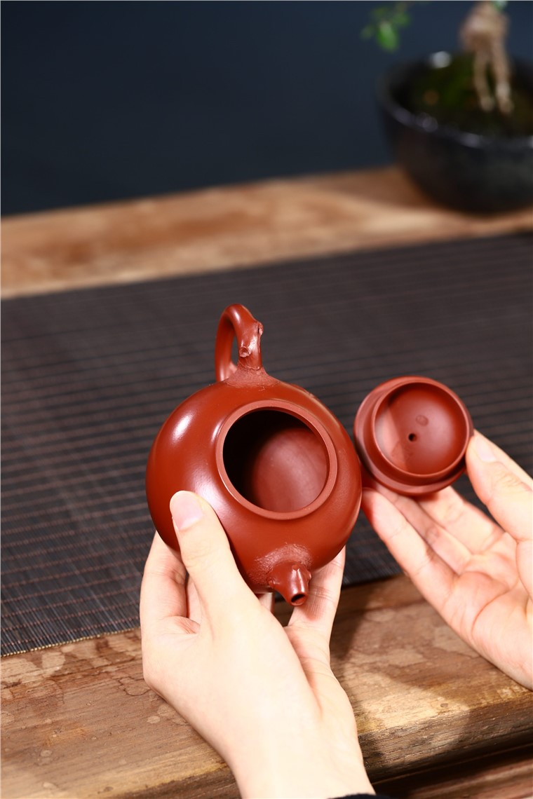 韩洪波作品 新芽图片