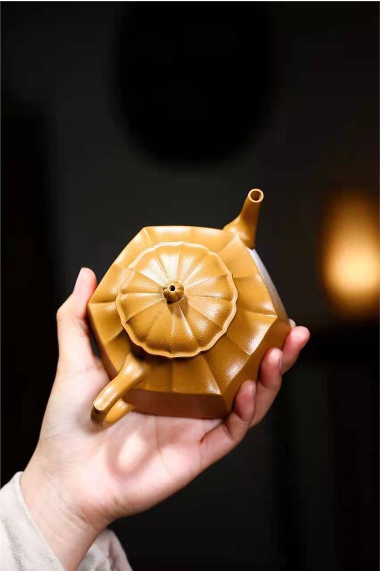高俊作品 六方菊花菊瓣图片