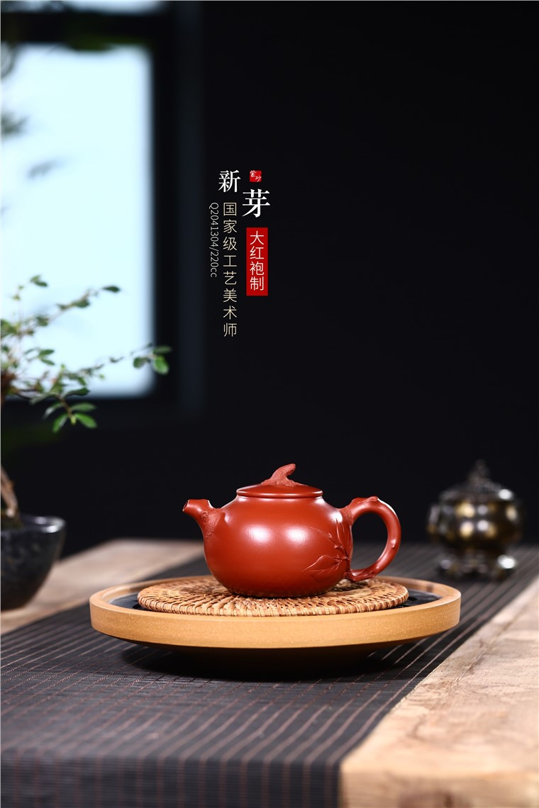 韩洪波作品 新芽图片