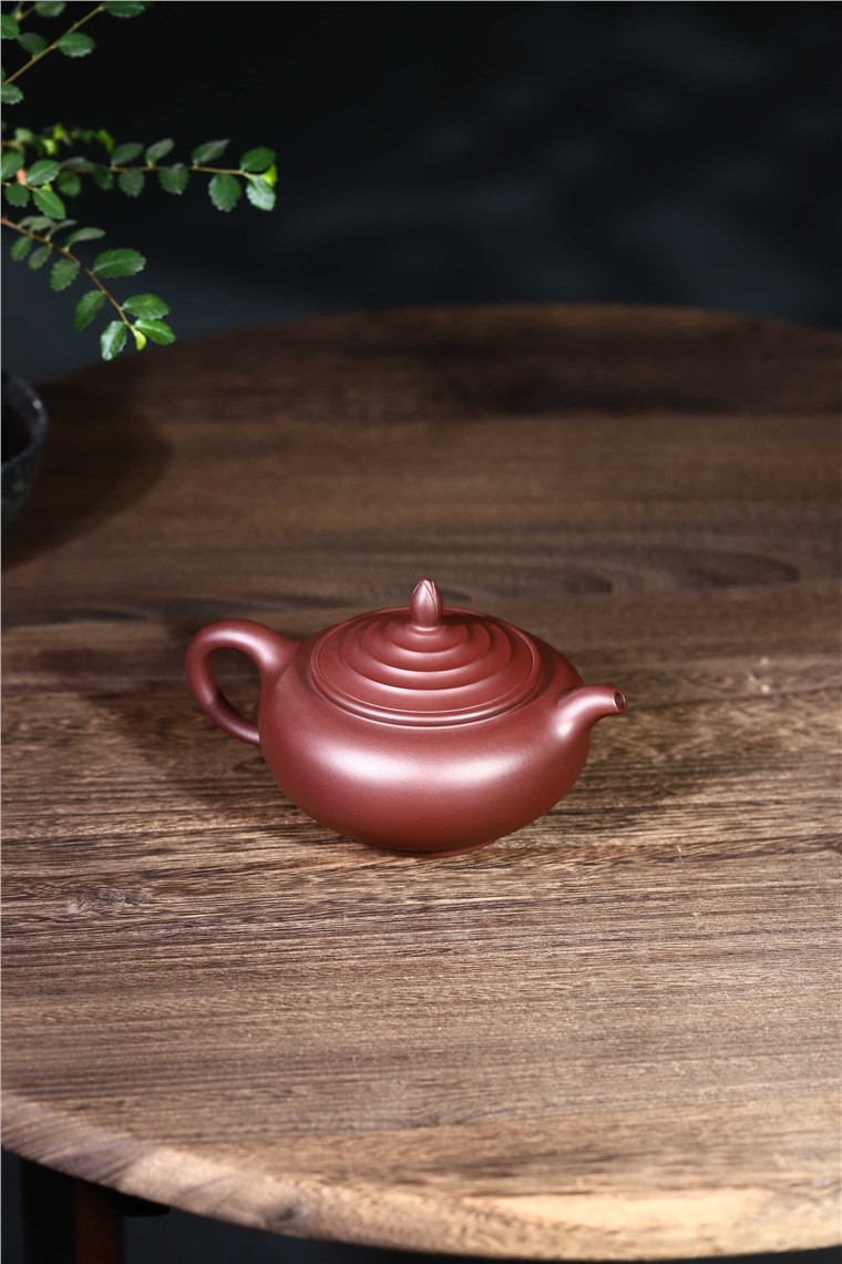 范君浩作品 玉兰图片
