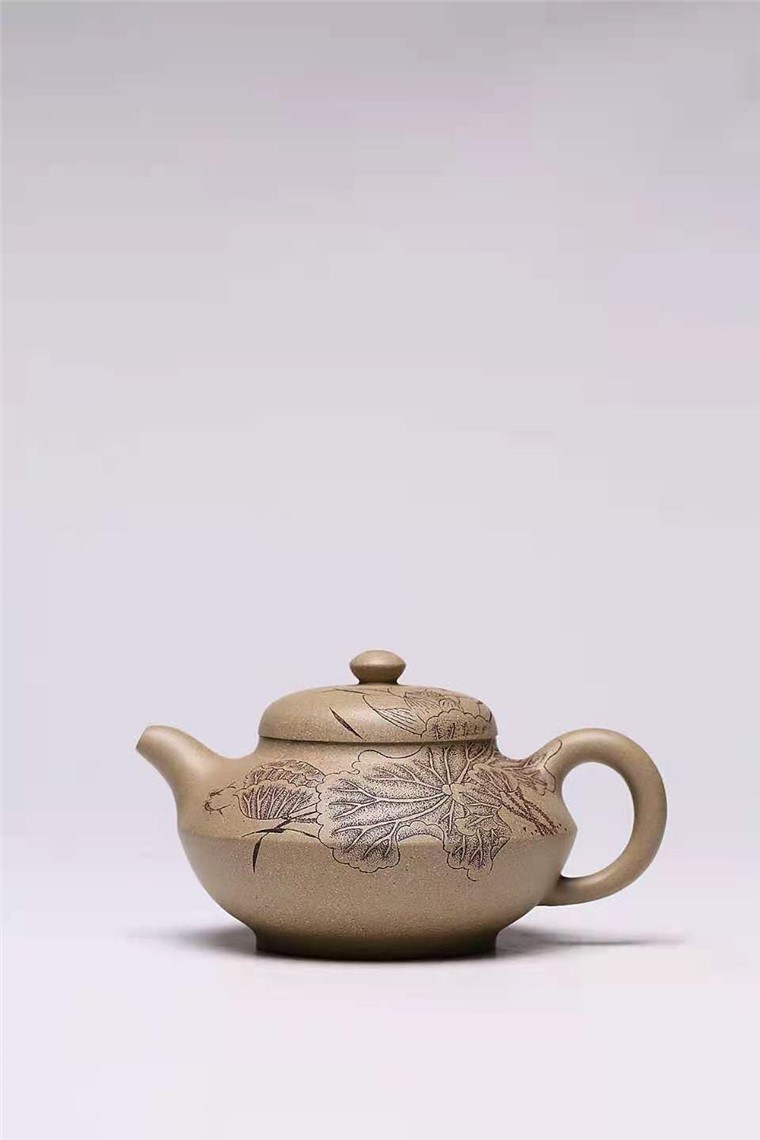 杨慧英作品 荷趣图片