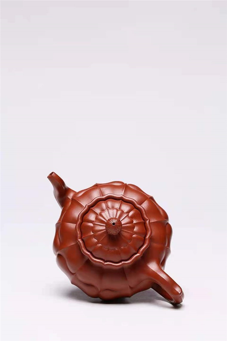 杨慧英作品 菱花图片
