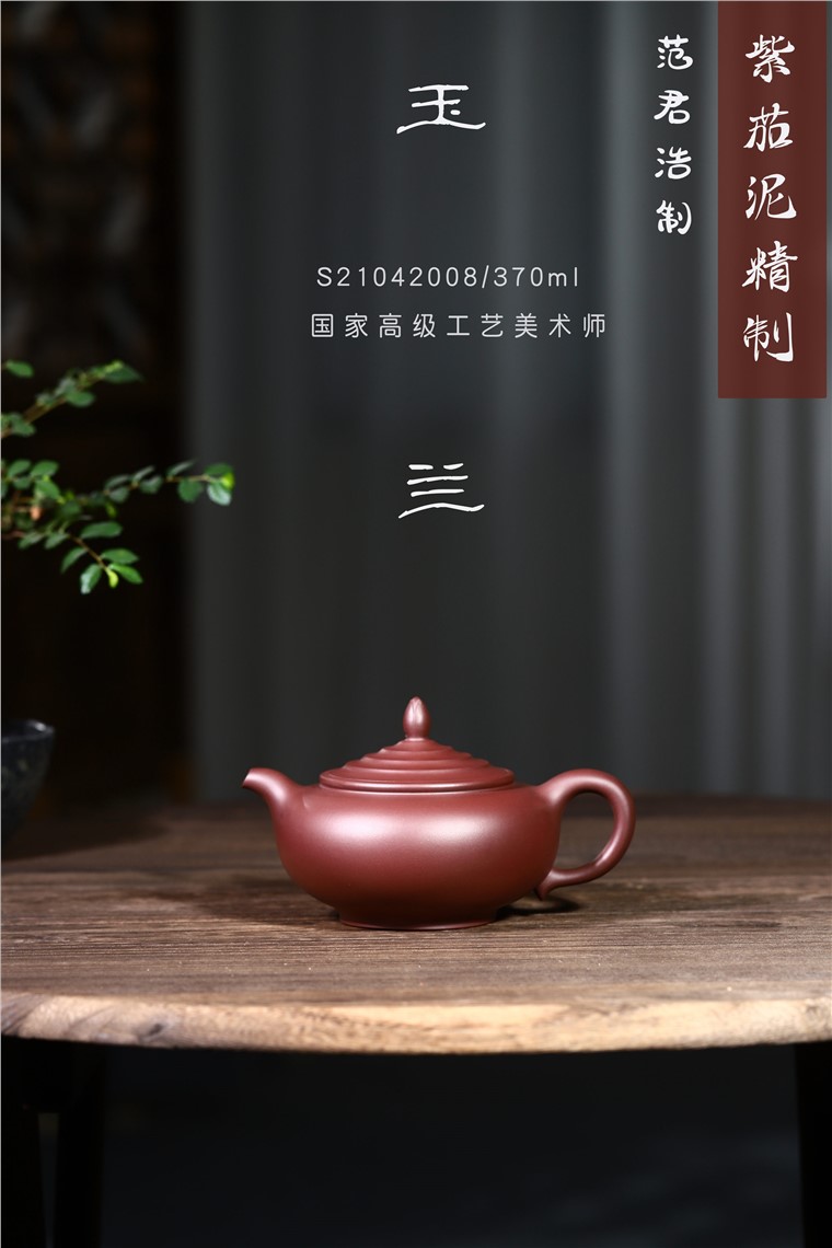 范君浩作品 玉兰图片