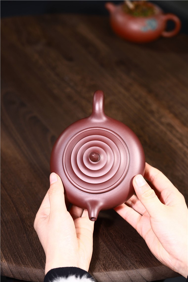 范君浩作品 玉兰图片