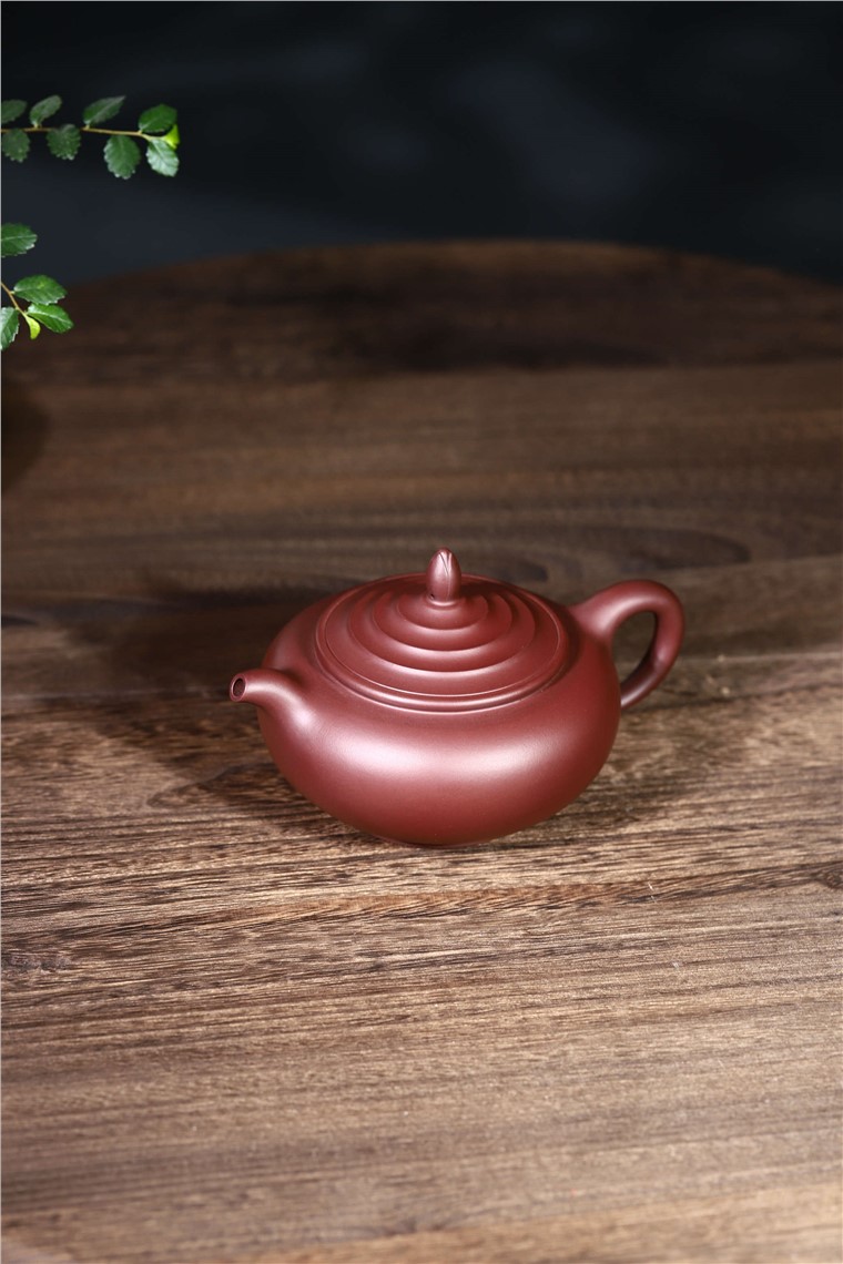 范君浩作品 玉兰图片