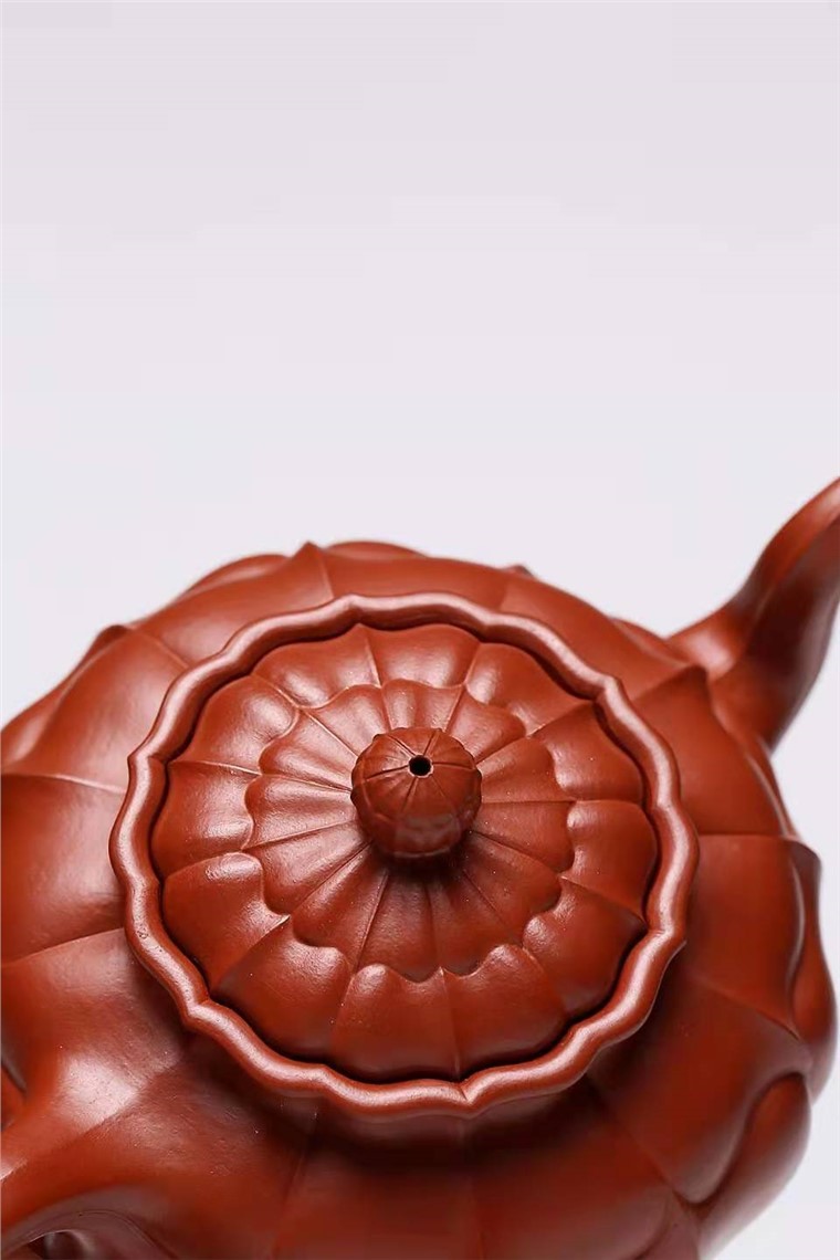 杨慧英作品 菱花图片