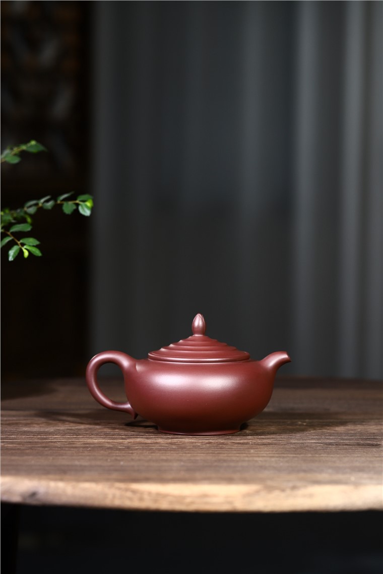范君浩作品 玉兰图片