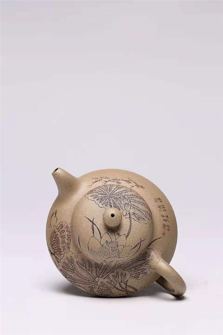 杨慧英作品 荷趣图片