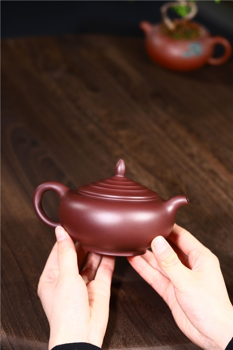 范君浩作品 玉兰图片
